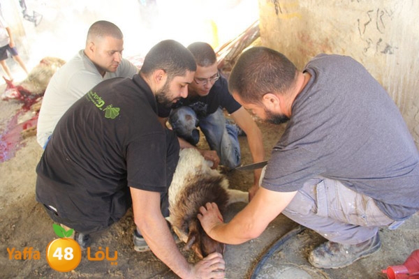 dabe7 ludj31 (47).JPG